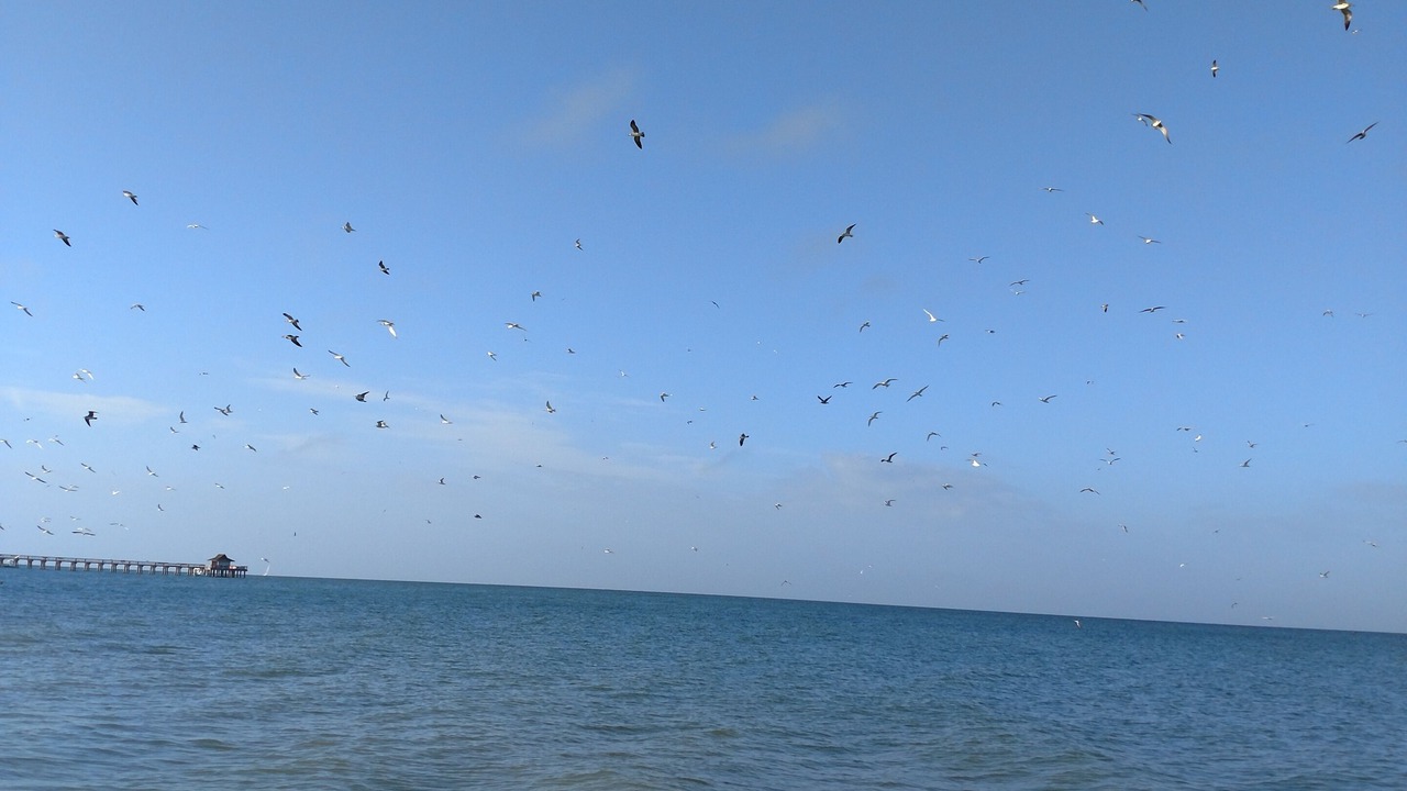 Photo of Others in Naples