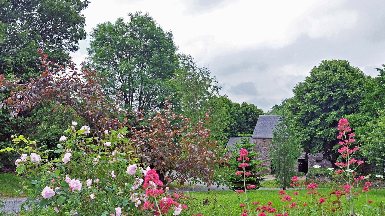 Photo of Outdoor in Saint-Pierre-la-Vieille