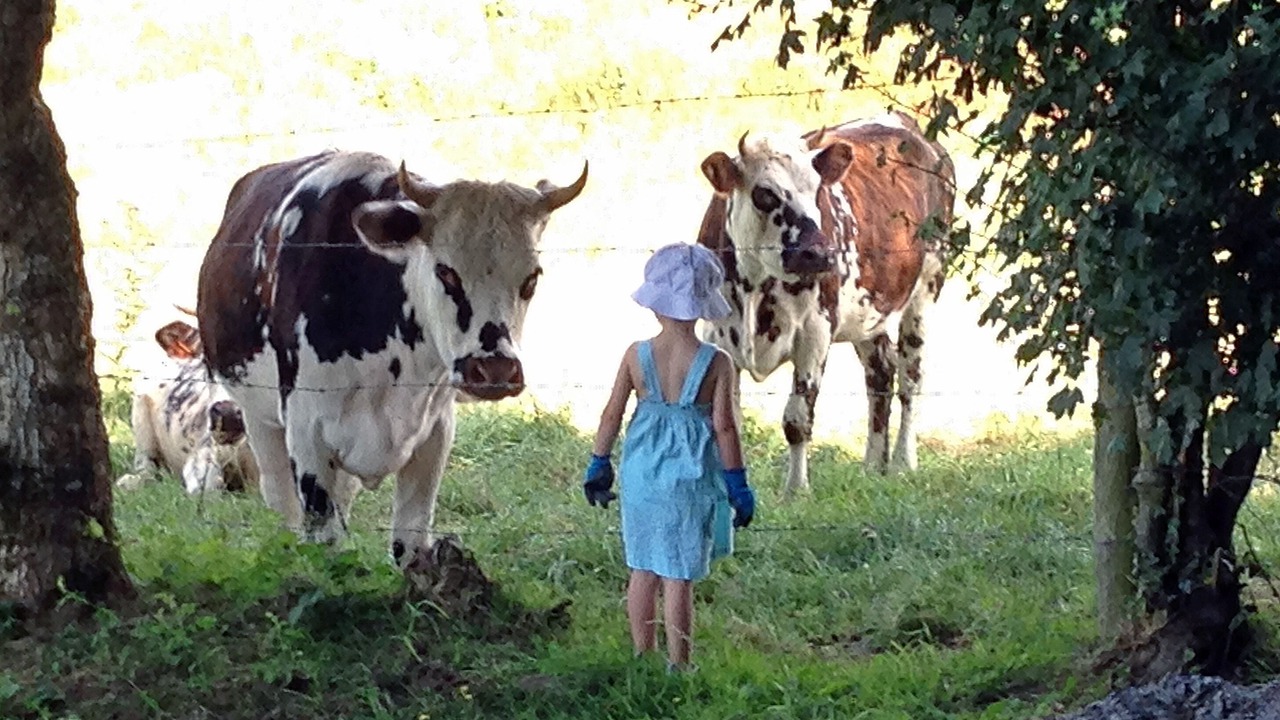 Photo of Outdoor in Saint-Pierre-la-Vieille