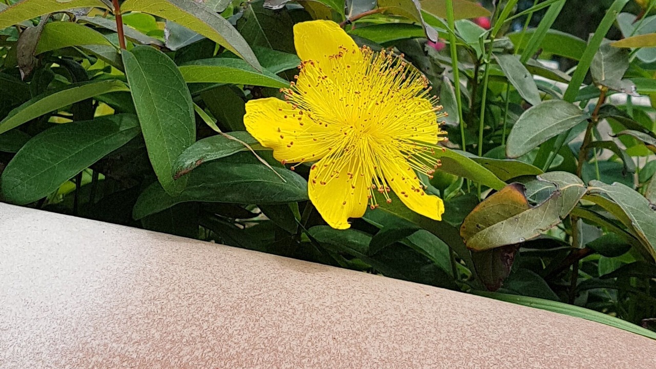 Photo of Outdoor in Lazer