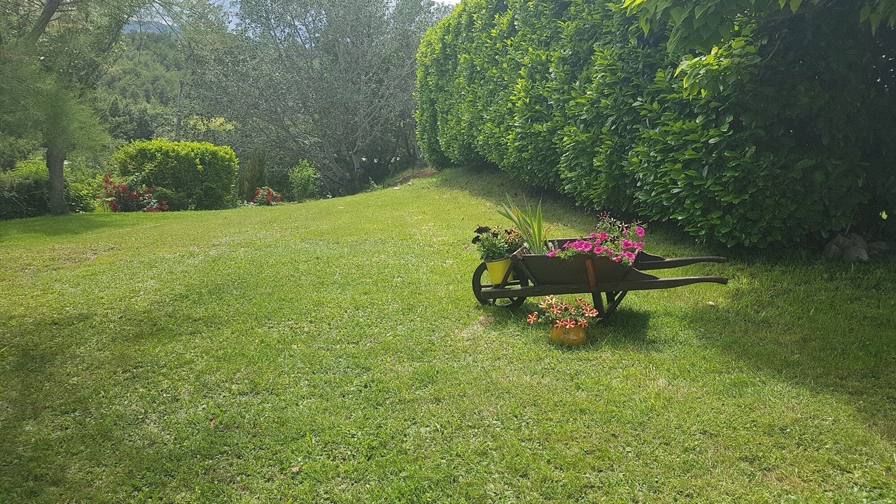 Photo of Outdoor in Lazer