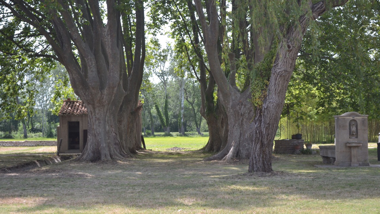 Photo of Outdoor in Mas Thibert