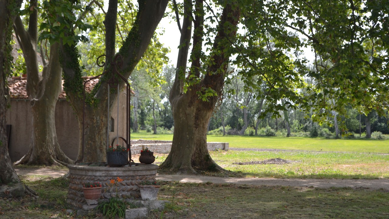 Photo of Outdoor in Mas Thibert