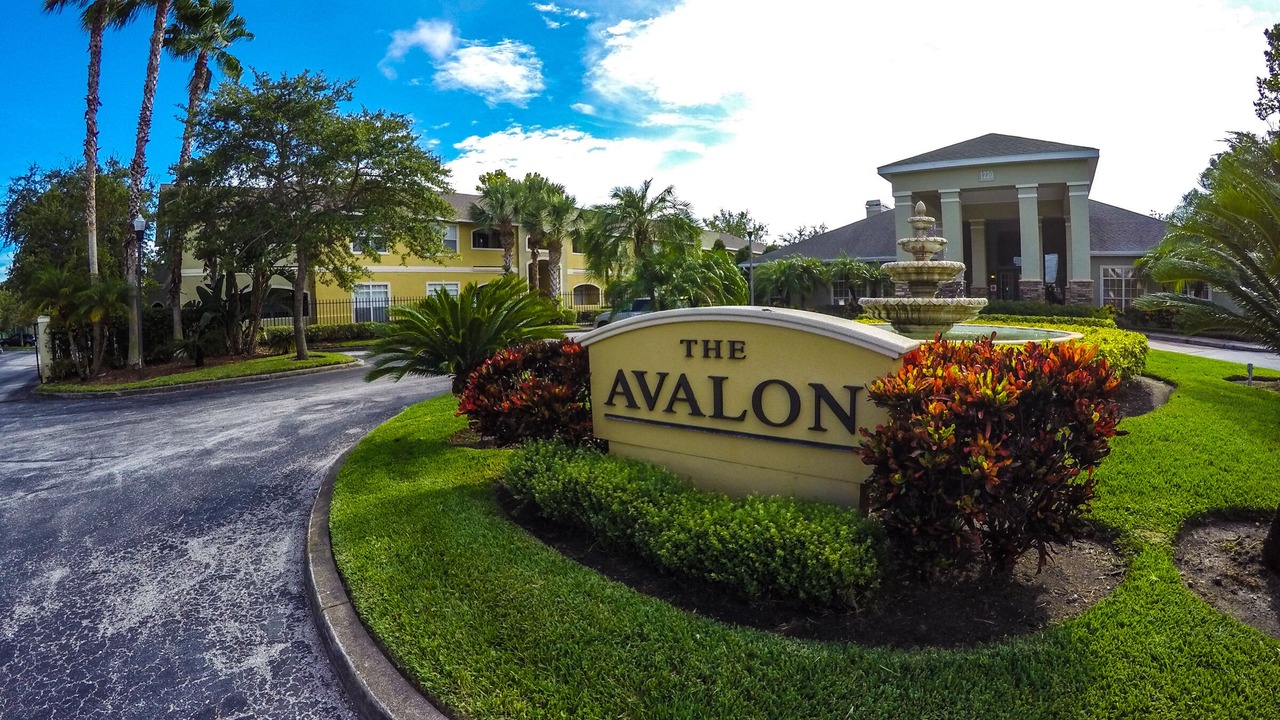 Photo of Others in Clearwater