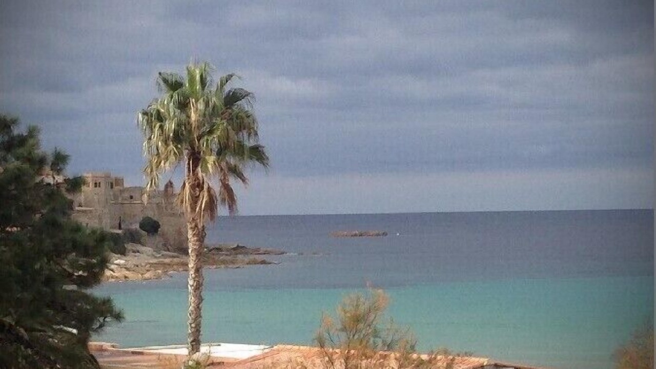 Photo of Others in Algajola