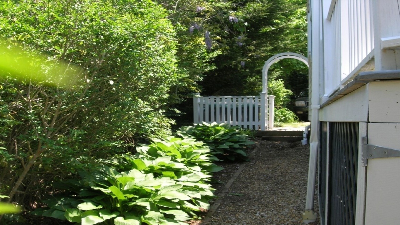 Photo of Outdoor in Edgartown