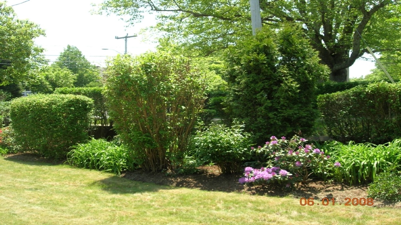 Photo of Outdoor in Edgartown