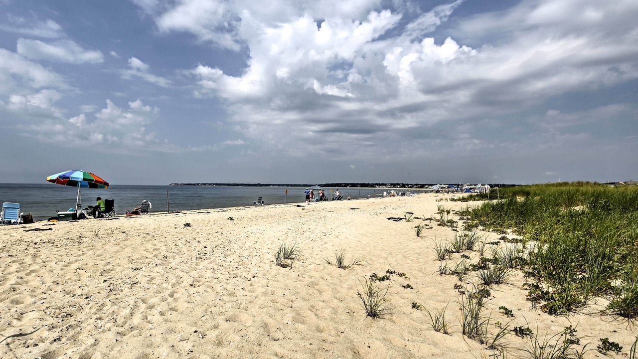 Photo of Others in West Hyannisport