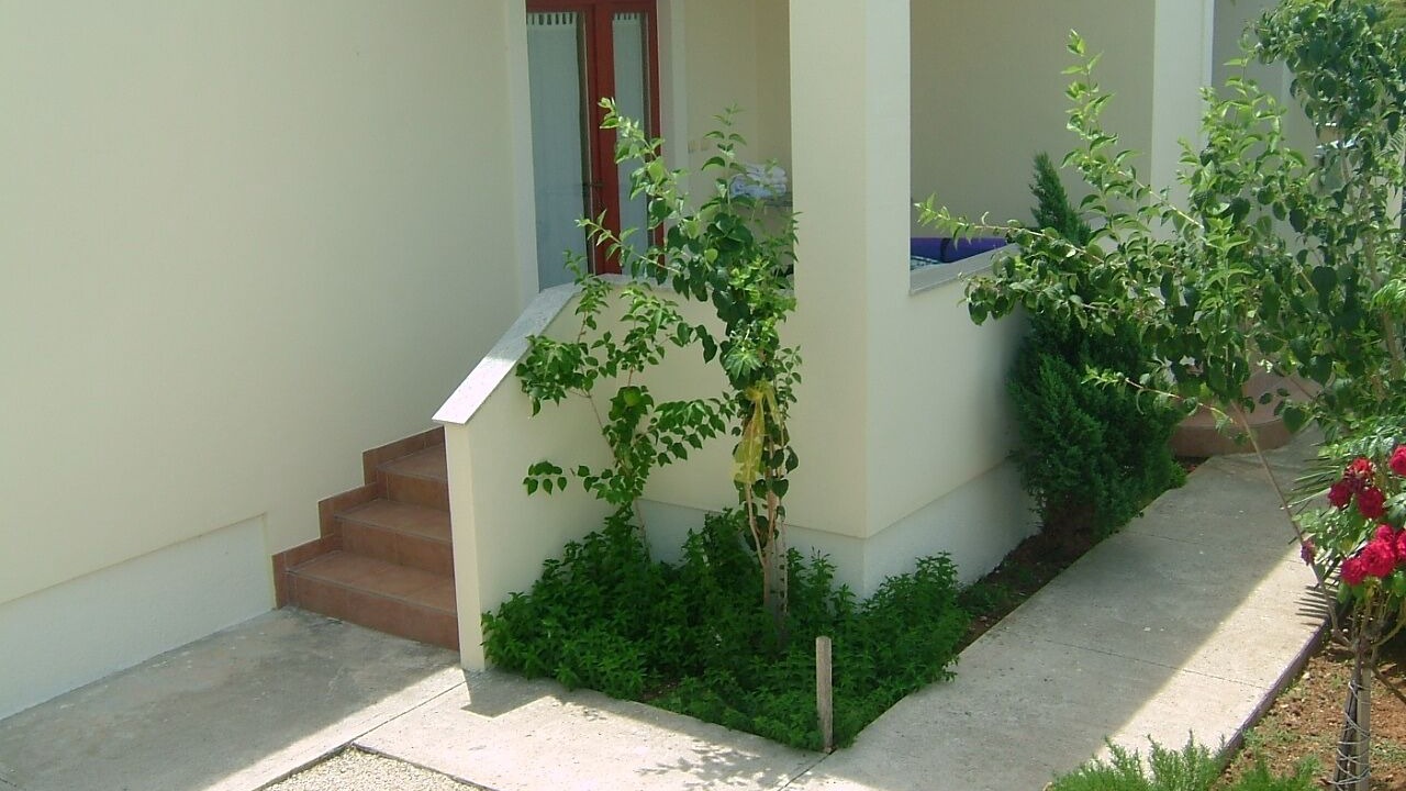 Photo of Outdoor in Zaton
