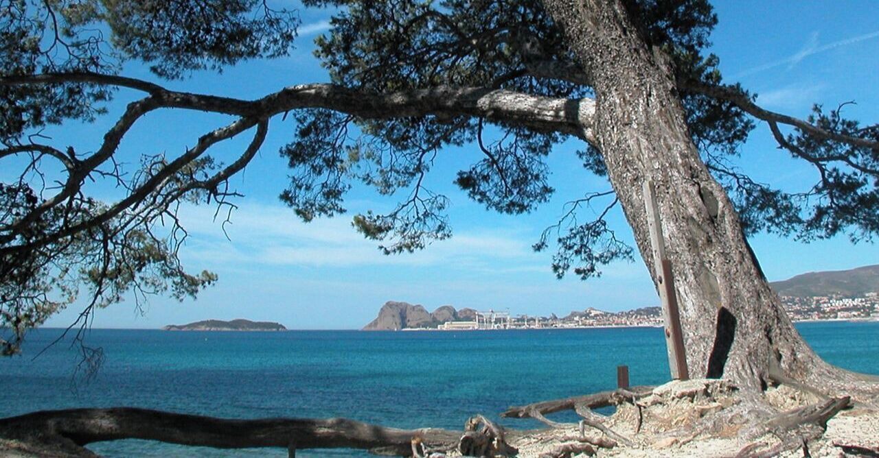 Photo of Others in Gemenos