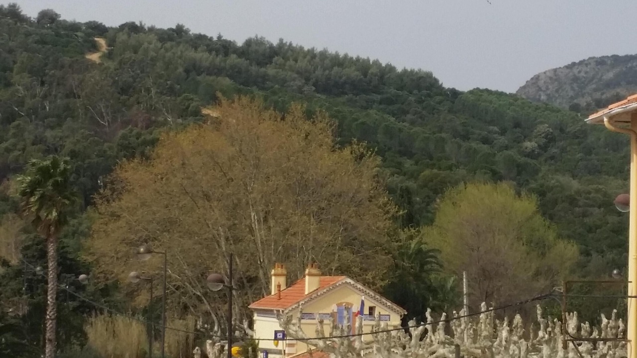 Photo of Others in Cavaliere Beach