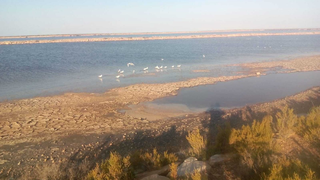 Photo of Others in Los Cuarteros