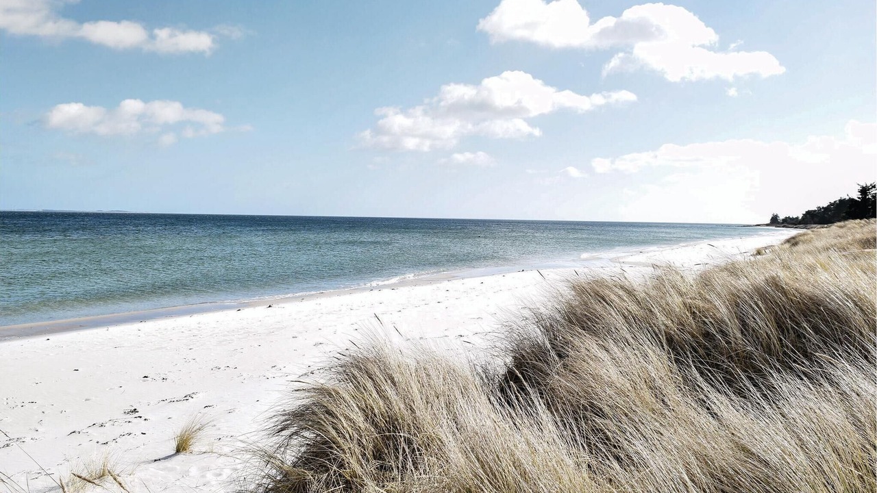 Photo of Others in Saksild Strand