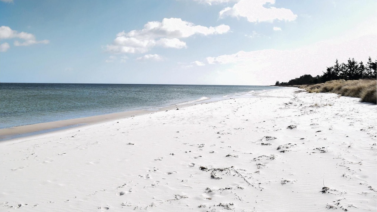 Photo of Others in Saksild Strand