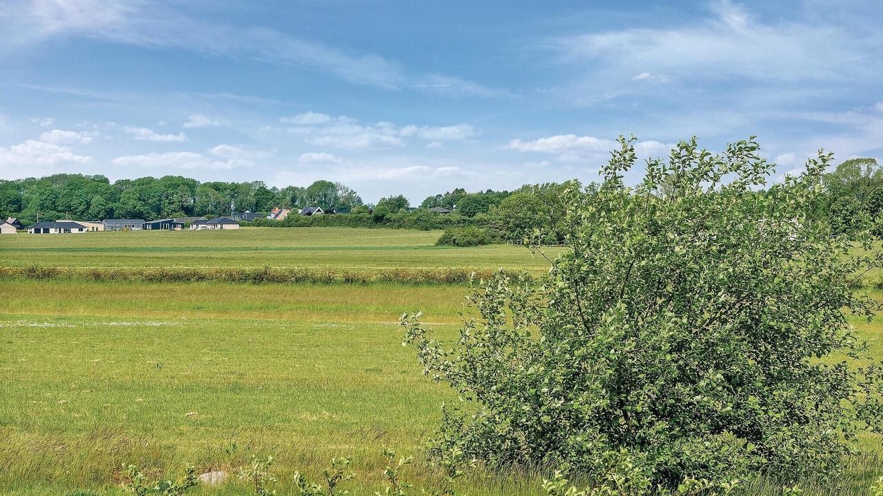 Photo of Others in Saksild Strand