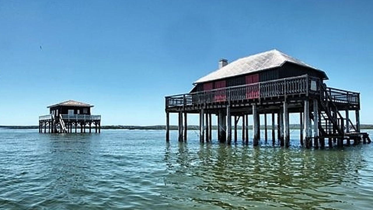 Photo of Outdoor in Arcachon