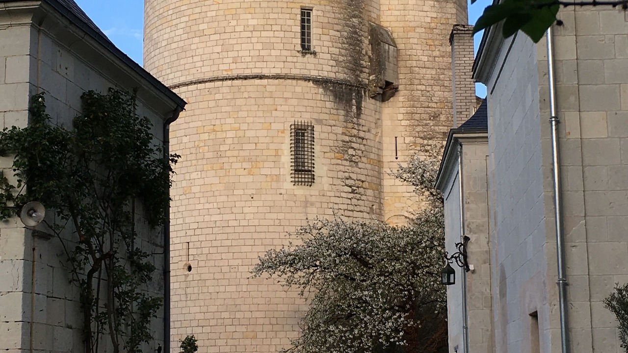 Photo of Others in Chenehutte-Treves-Cunault