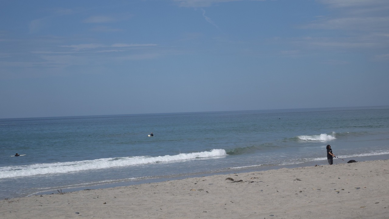 Photo of Others in Solana Beach