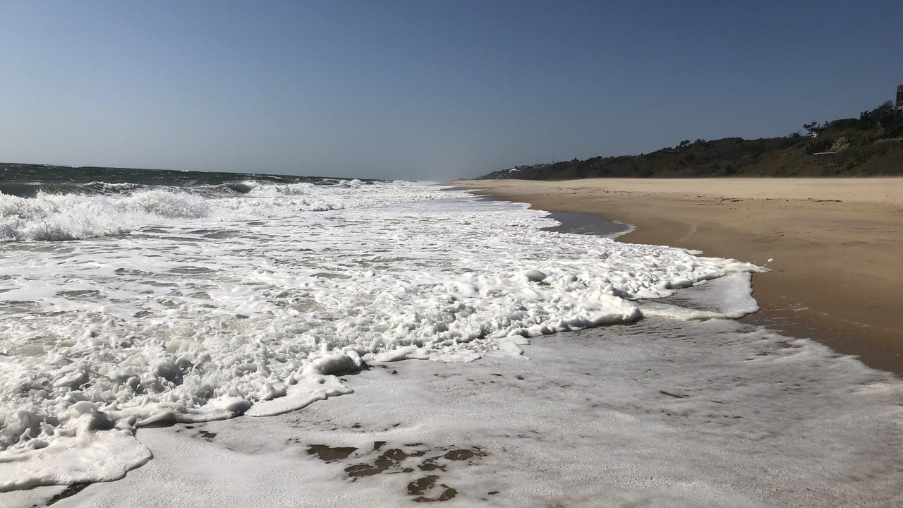 Photo of Others in Montauk