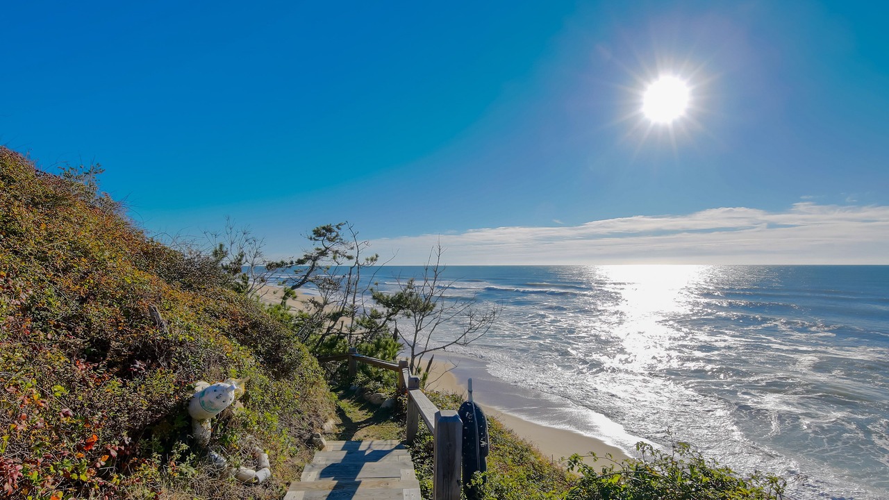 Photo of Others in Montauk