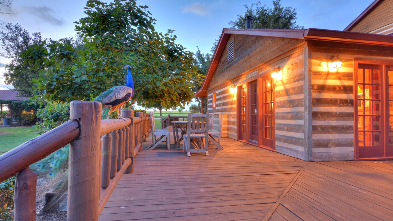 Photo of Outdoor in Sutherland Springs