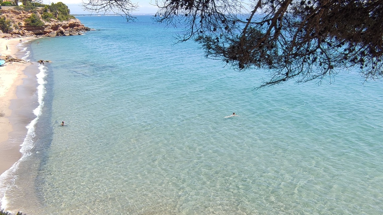 Photo of Others in Miami Platja
