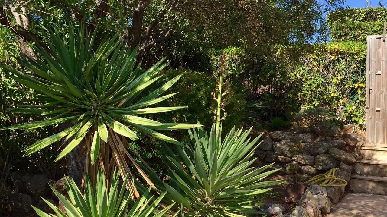 Photo of Outdoor in Theoule-sur-Mer