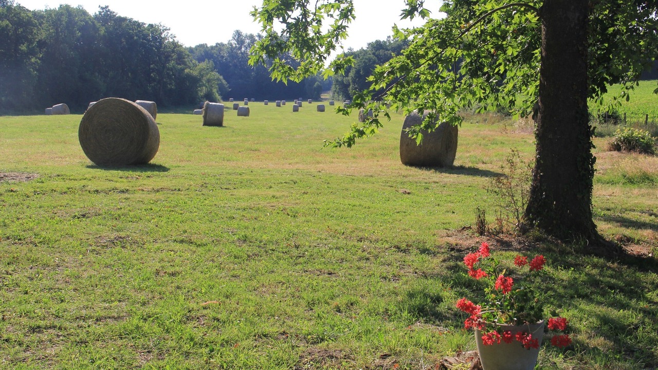 Photo of Outdoor in Montignac-Toupinerie