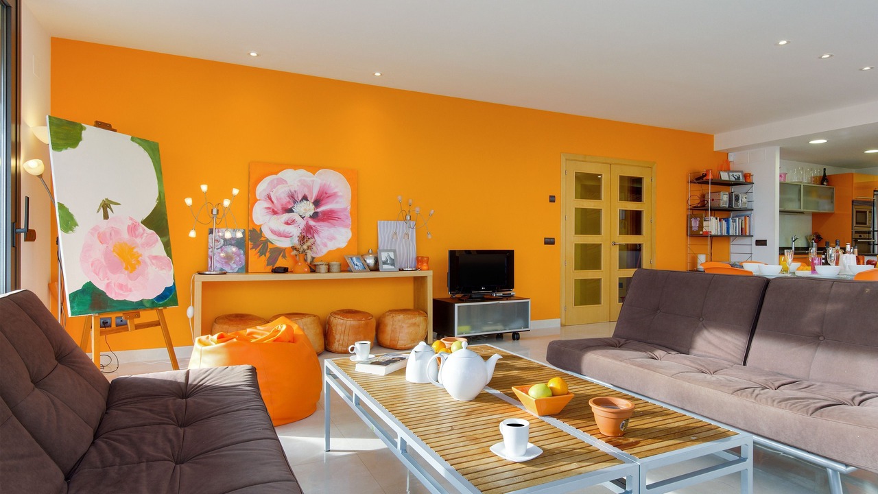 Photo of Livingroom in Tamariu