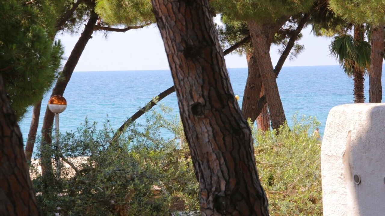 Photo of Others in Vilafortuny