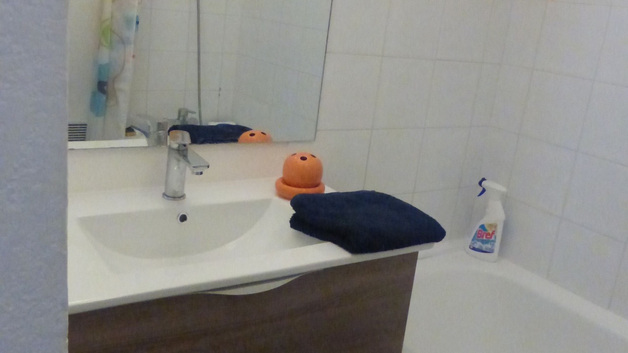 Photo of Bathroom in Port Marianne