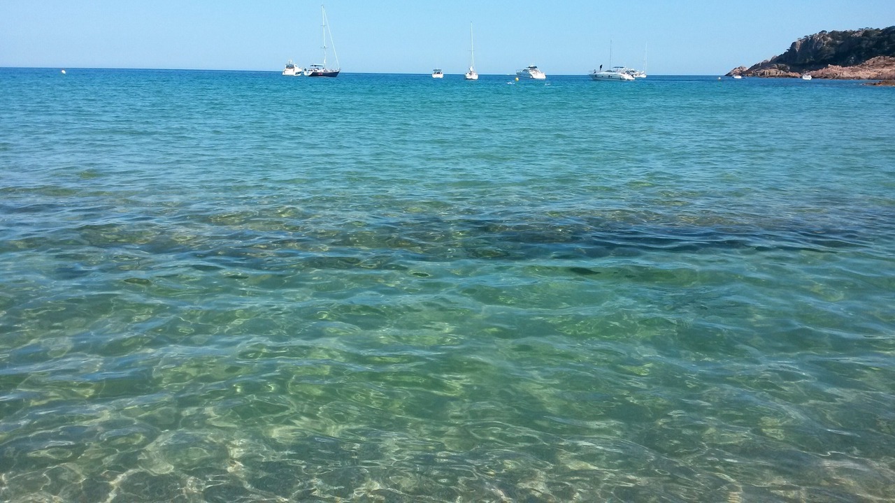 Photo of Others in Empuriabrava