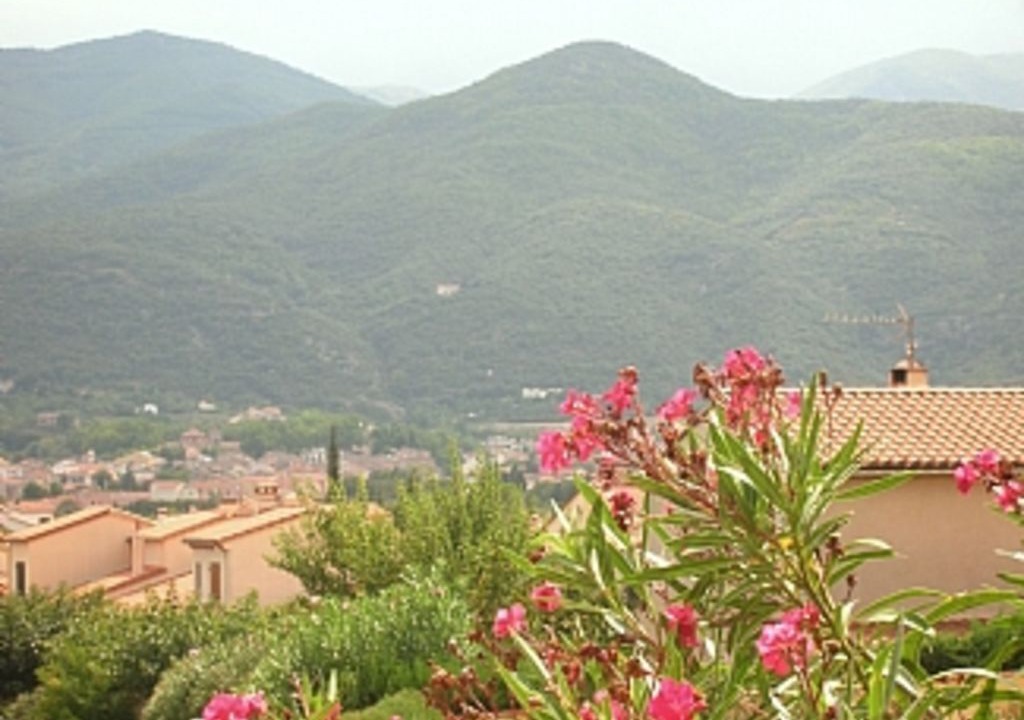 Photo of Others in Ceret