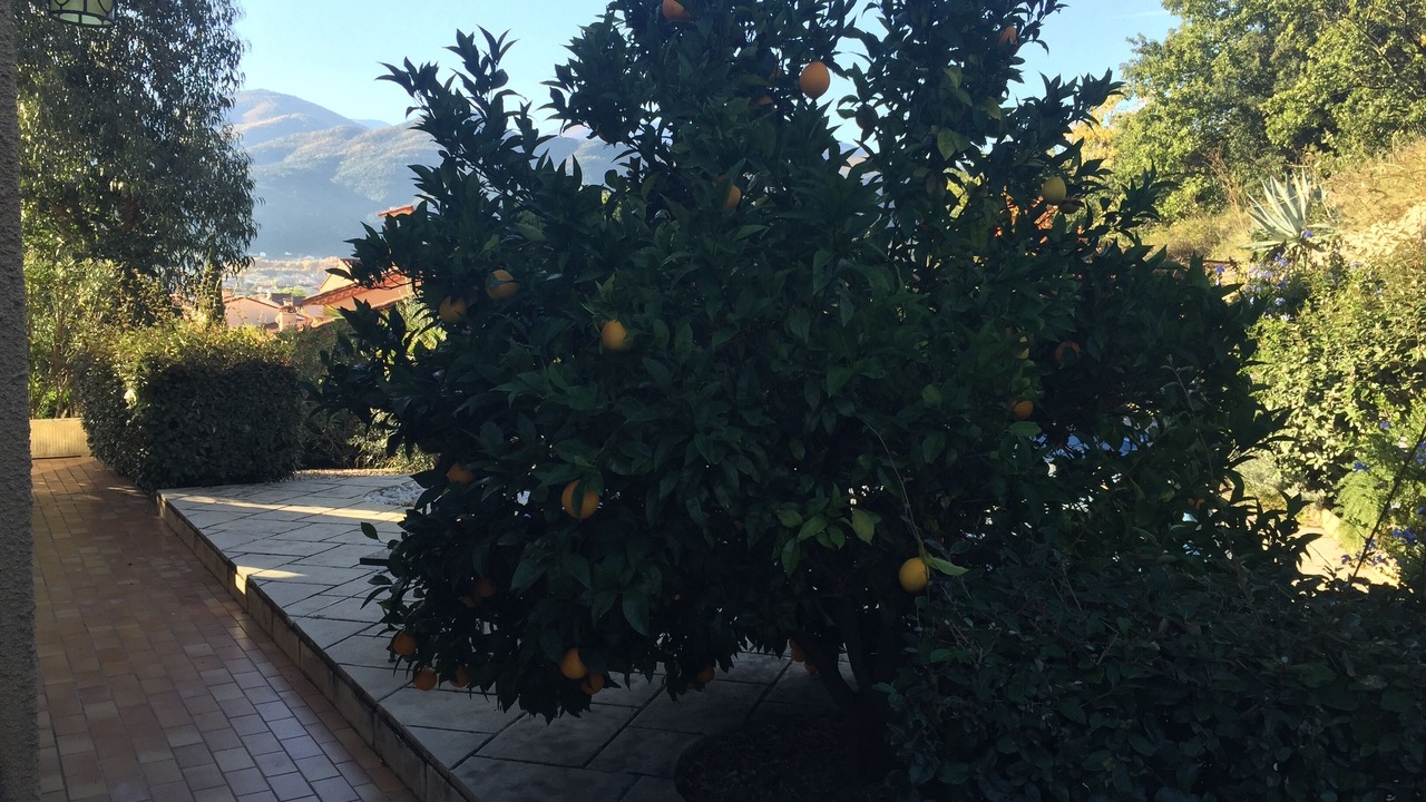 Photo of Outdoor in Ceret