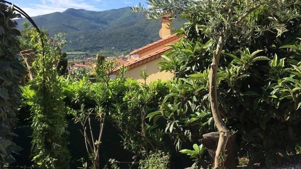 Photo of Outdoor in Ceret
