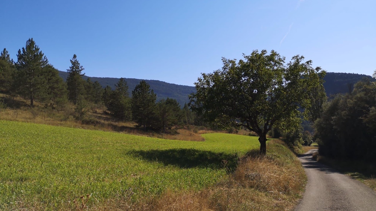 Photo of Others in Montauban-sur-l'Ouveze