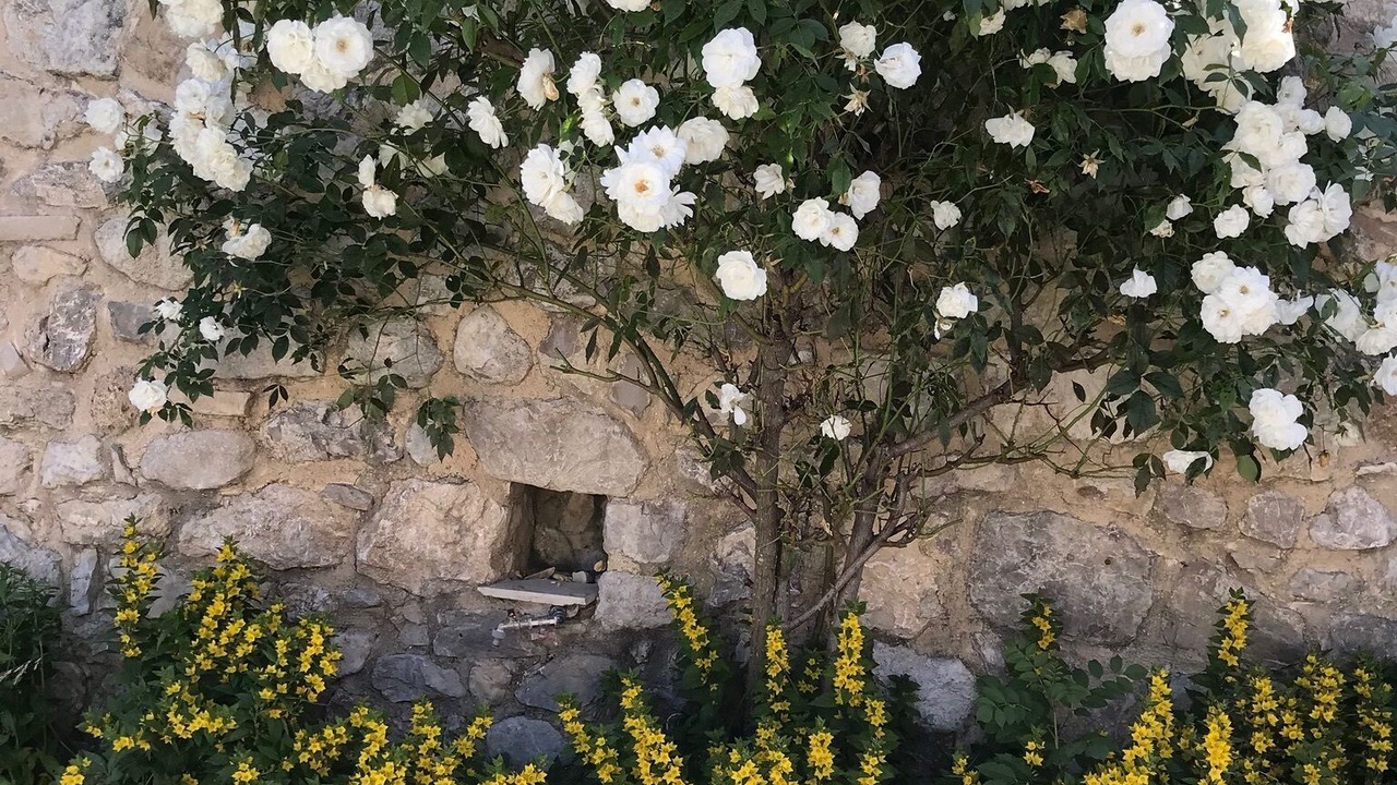 Photo of Outdoor in Montauban-sur-l'Ouveze