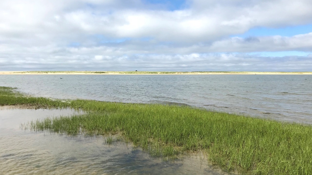 Photo of Others in Edgartown