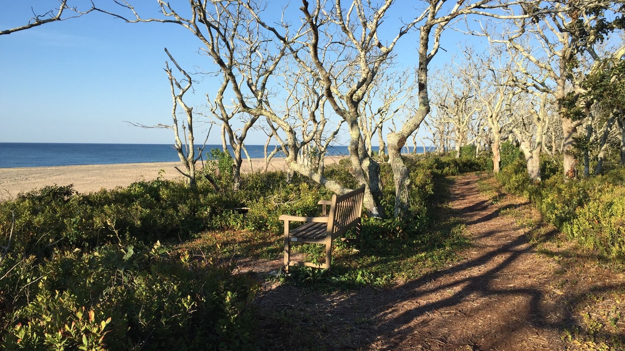 Photo of Outdoor in Edgartown