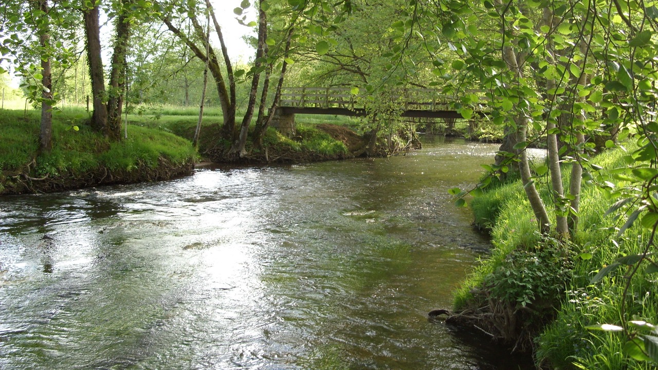 Photo of Others in Saint-Pierre-de-Cole