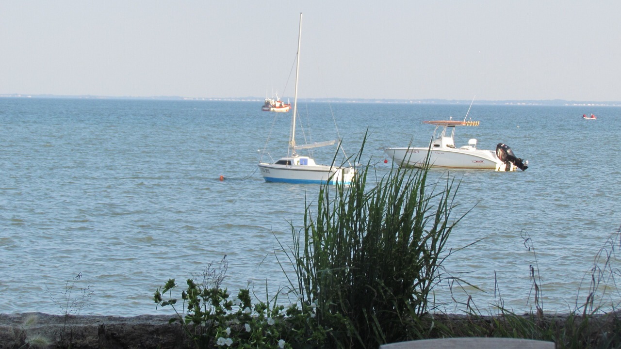 Photo of Others in Damgan