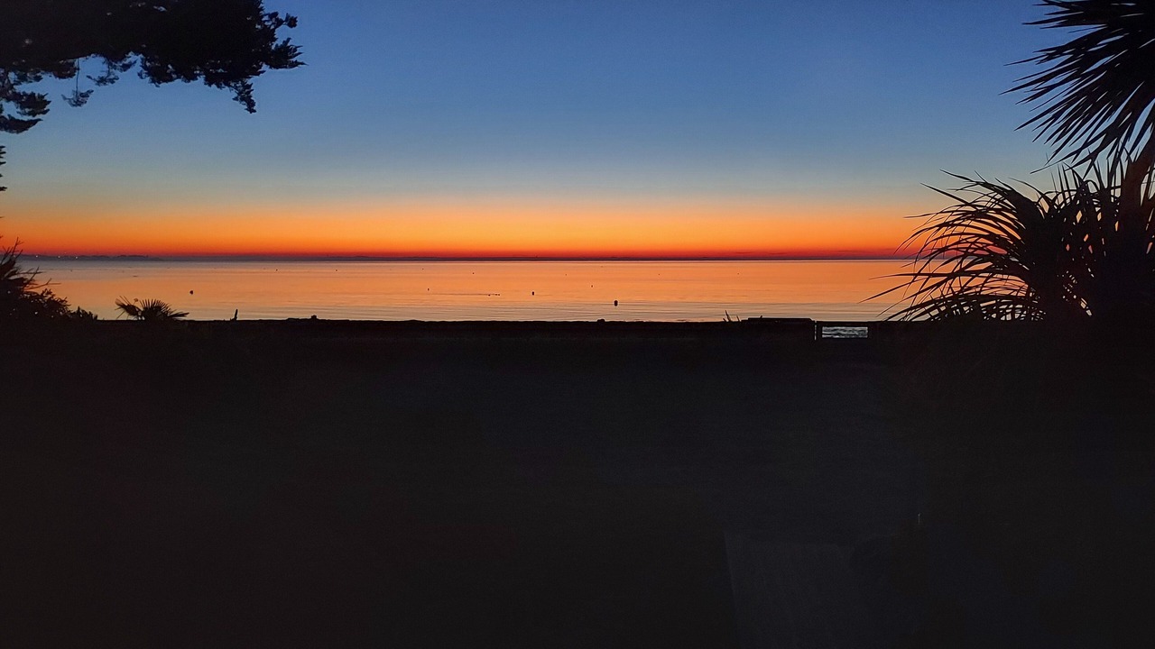 Photo of Others in Damgan