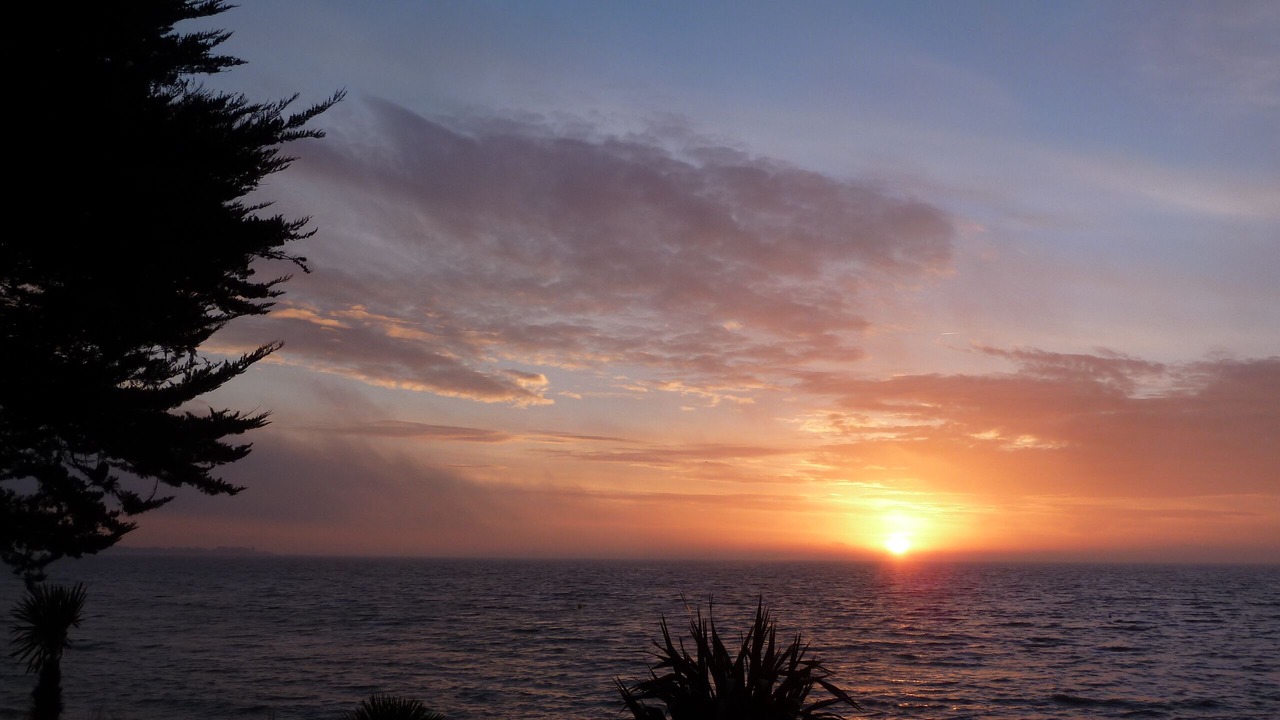 Photo of Others in Damgan