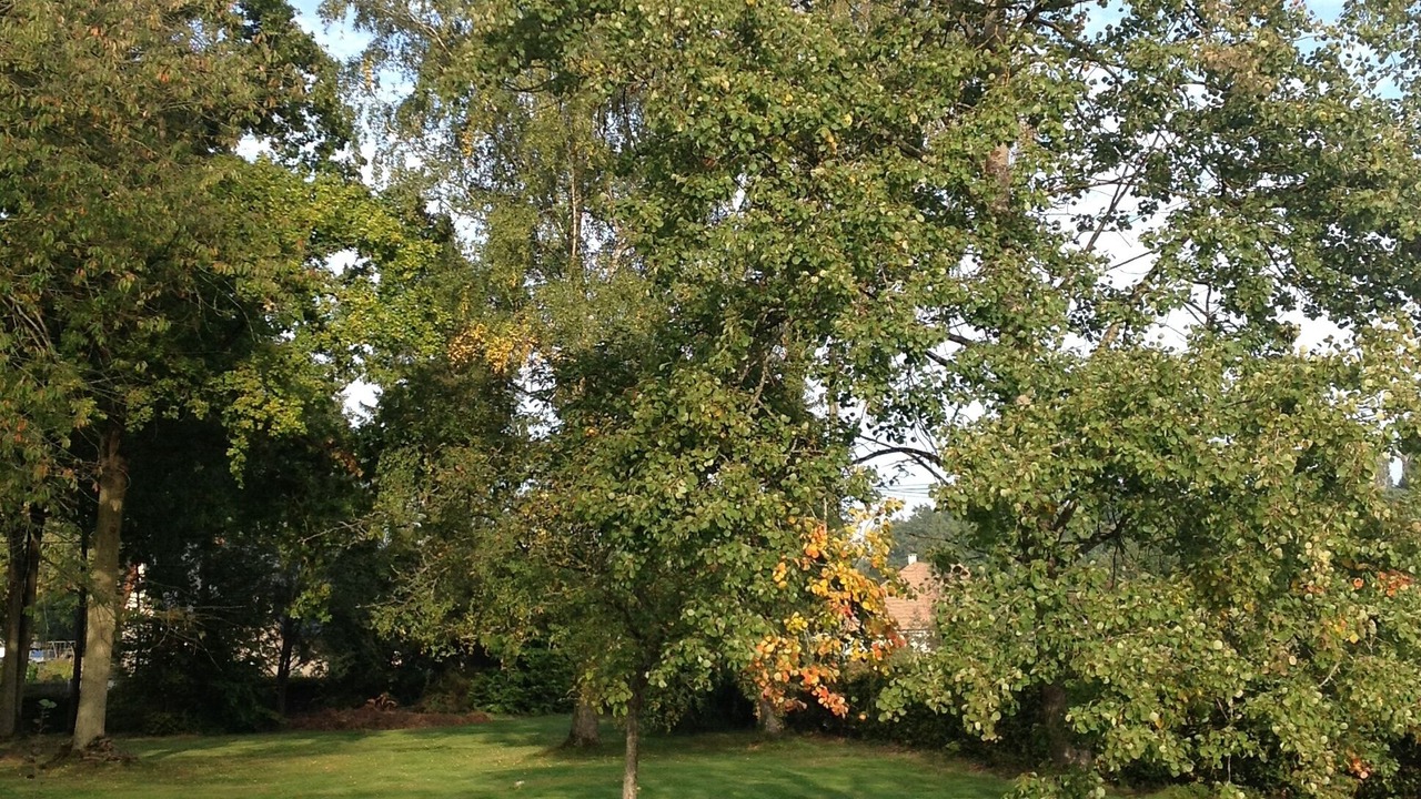 Photo of Outdoor in Corneville-sur-Risle