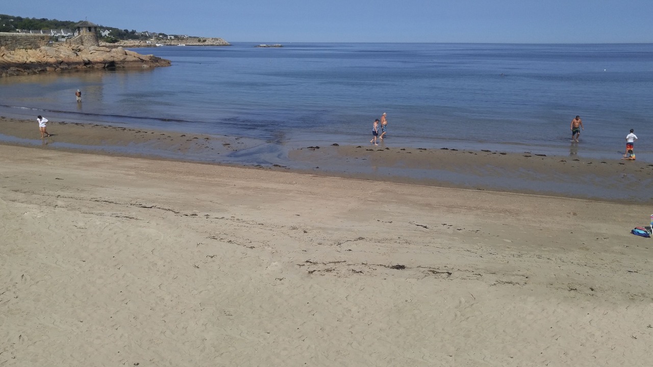 Photo of Others in Rockport