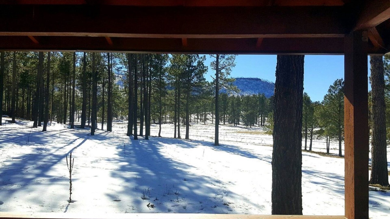 Photo of Others in Alpine