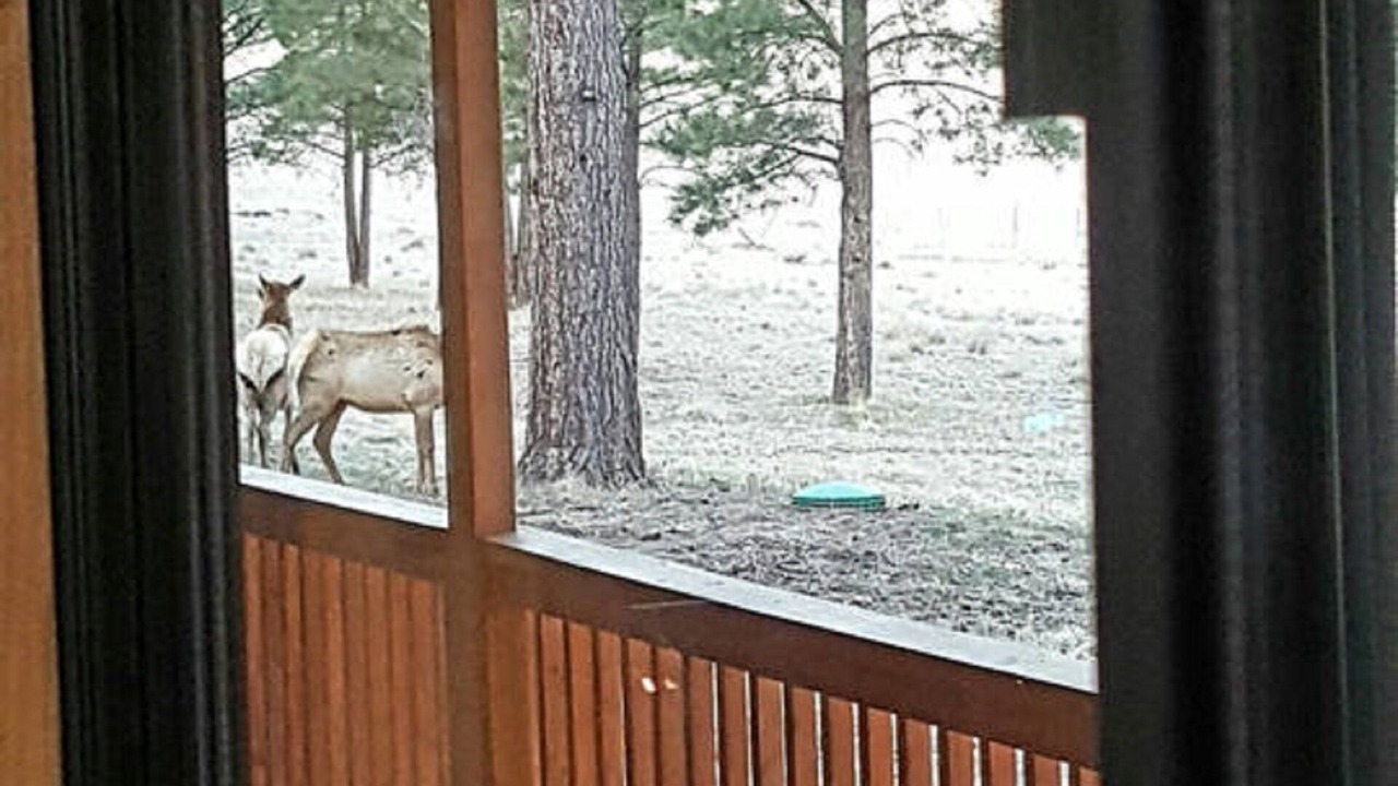 Photo of Others in Alpine