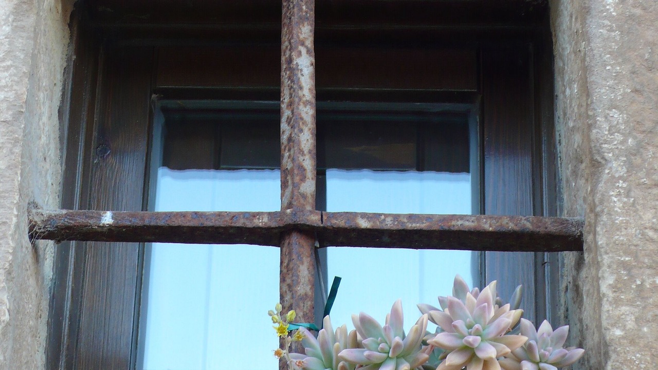 Photo of Others in Azuelo