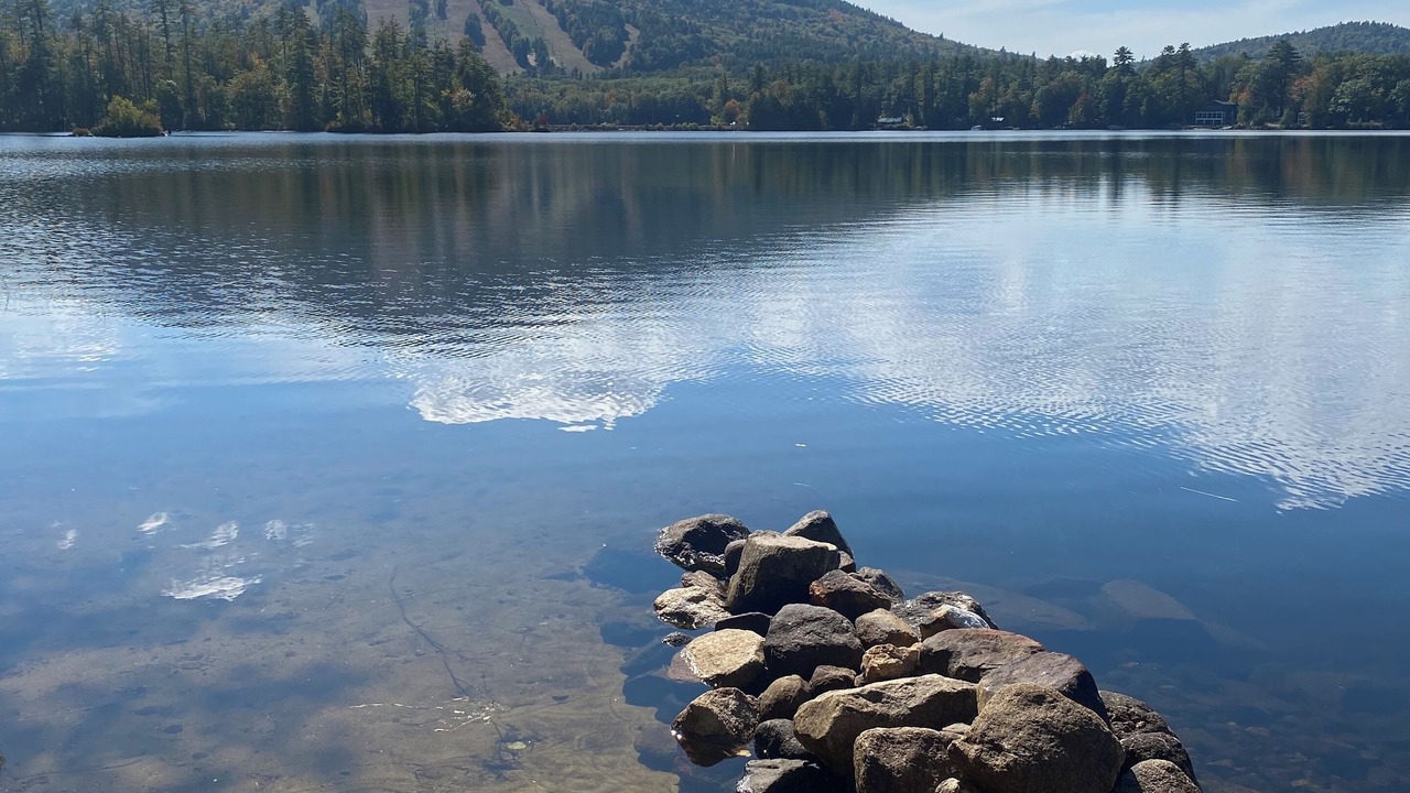 Photo of Others in Bridgton