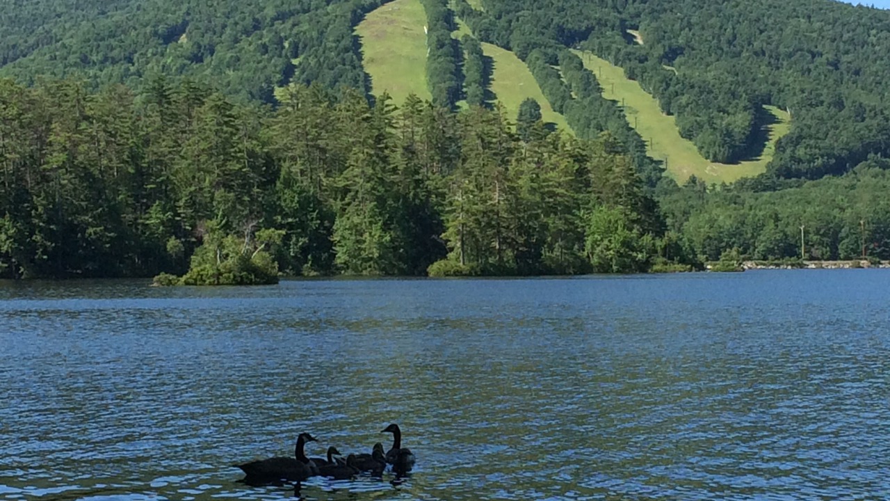 Photo of Outdoor in Bridgton